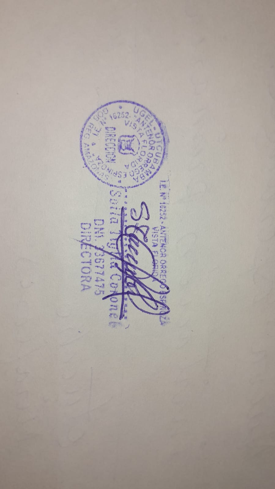 Firma